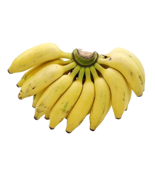 product_small_img1