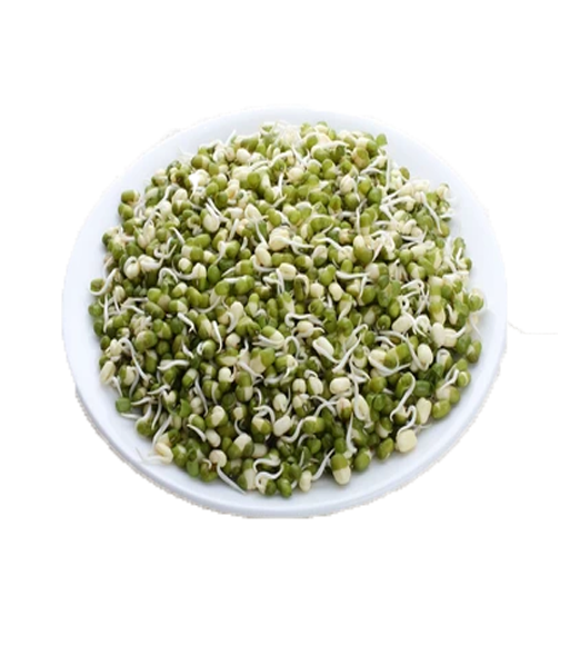 Mung Bean Sprouts (Mug ) 250 Gram