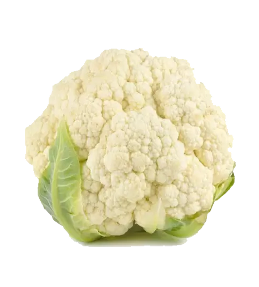Cauli-Flower(Flower) 1 Pc
