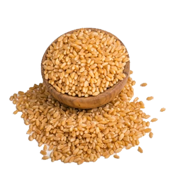 Gropure Organic Wheat Sharbati 5kg