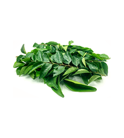 Curry Leaves (Kaddhi Patta) 1 Bunch