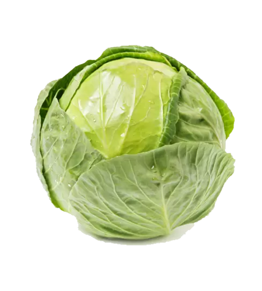 Cabbage 1pc(Aprrox 500Gm To 900Gm )