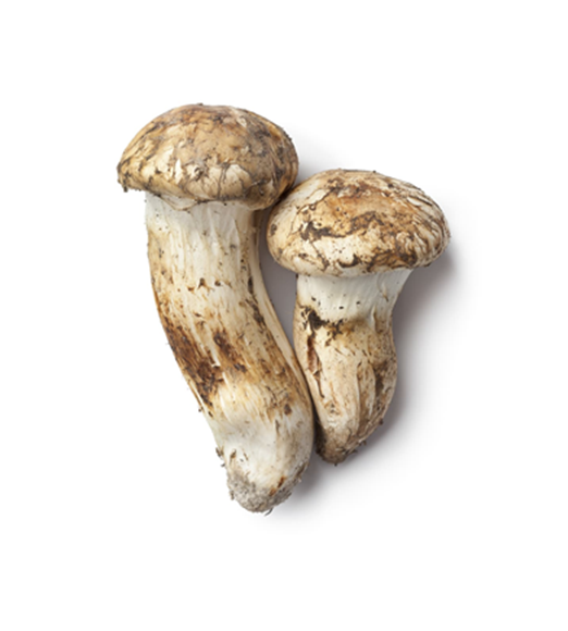 Mushroom  200Gm