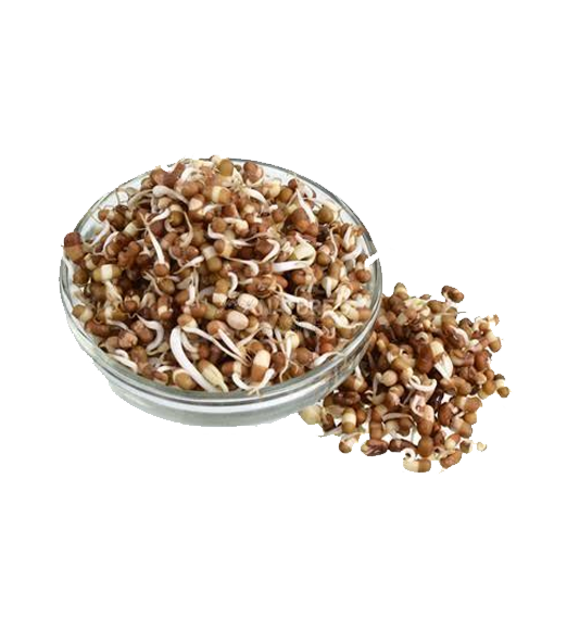 Mataki Sprouts 250Gram