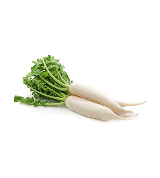 White Raddish (Mooli) 1Pc