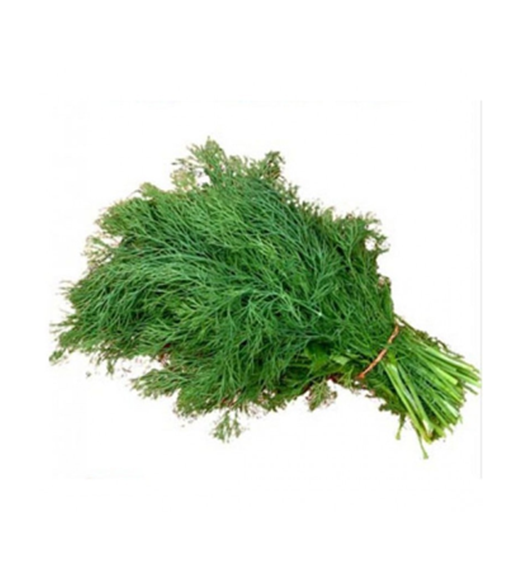 Dill Soya Leaves (shepu) Bunch