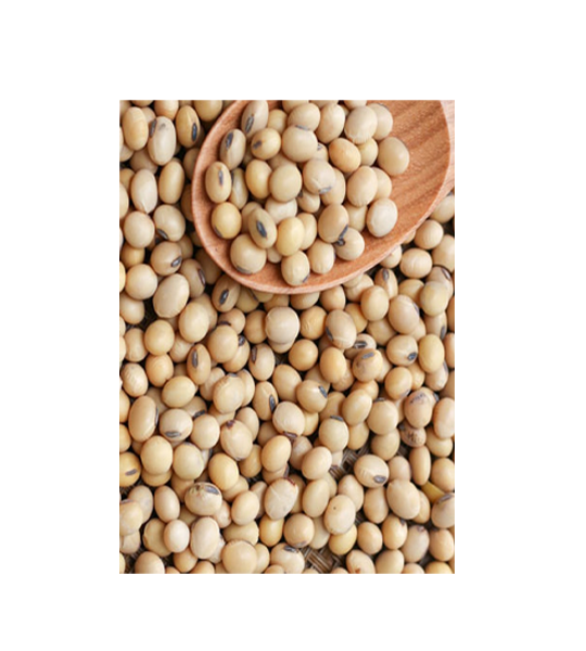 Soybean Loose 1 Kg